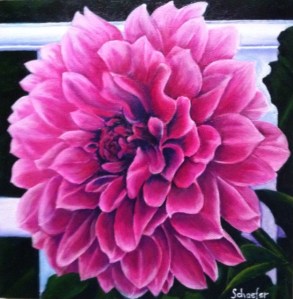 Edgartown Dahlia