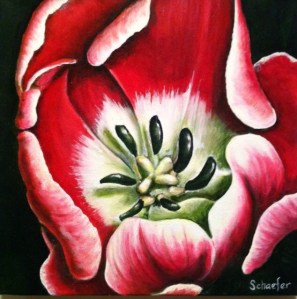 Red Tulip