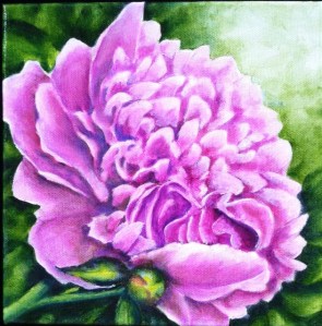 Vineyard Peony